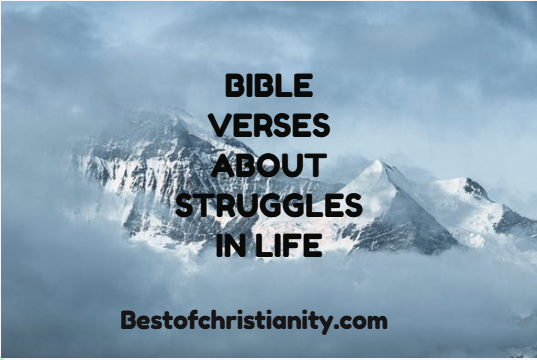 Bible Verses About Struggles in Life