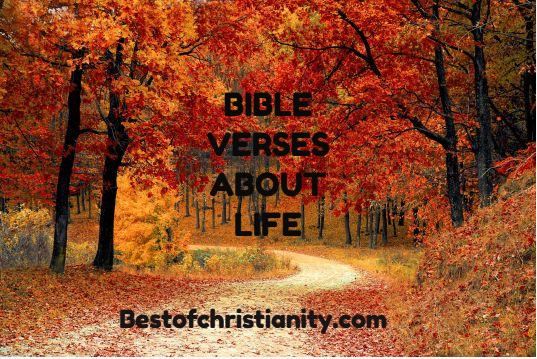 Bible verses about life