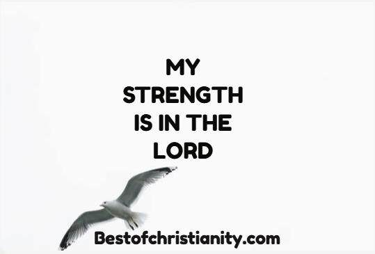 My Strength is in the Lord