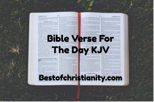 Bible Verse For the Day KJV