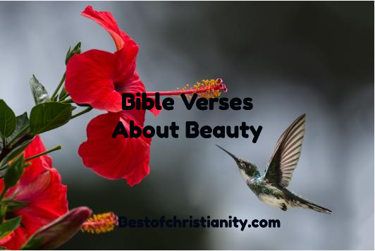 Bible Verses About Beauty