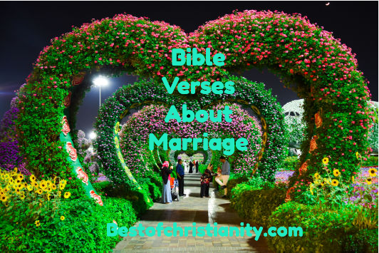 Bible Verses About Marriage