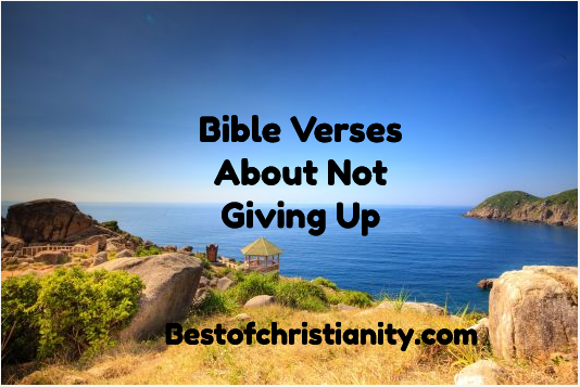 Bible Verses About Not Giving Up