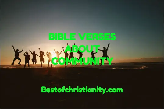 Bible Verses About Community