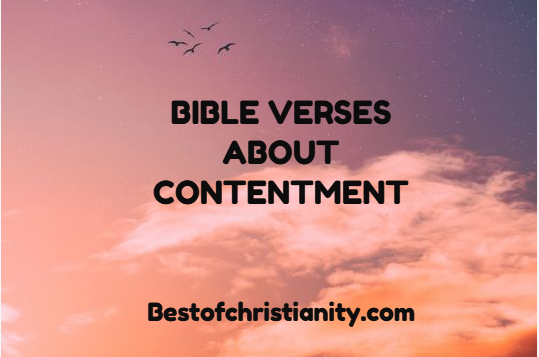 Bible Verses About Contentment