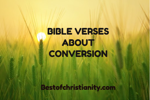 Bible Verses About Conversion