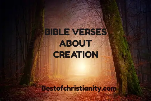 Bible Verses About Creation