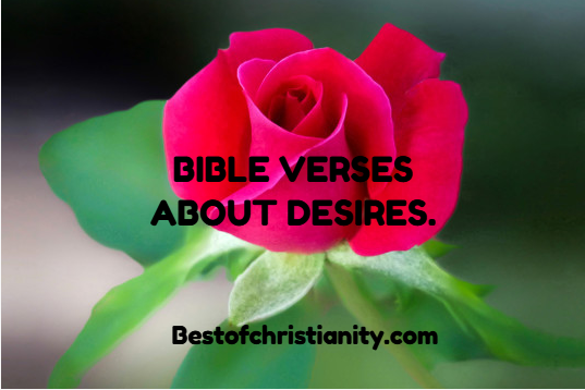 Bible Verses About Desires