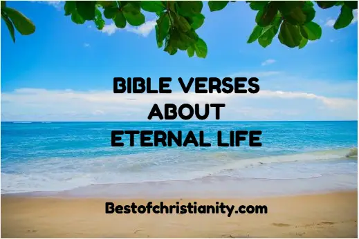 Bible Verses About Eternal Life