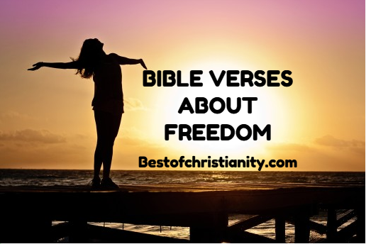 Bible Verses About Freedom