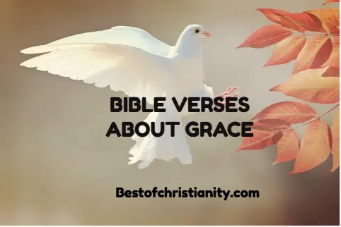 Bible Verses About Grace