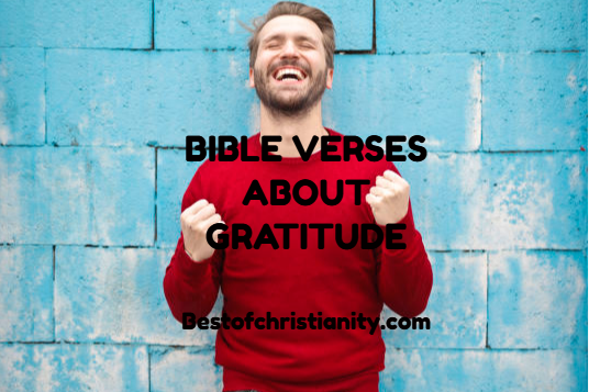 Bible Verses About Gratitude