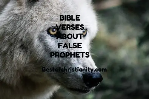 Bible Verses About False Prophets