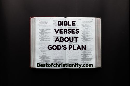 Bible Verses About God's Plan