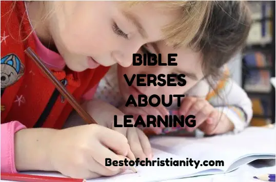Bible Verses About Learning