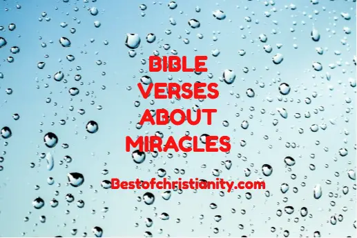 Bible Verses About Miracles