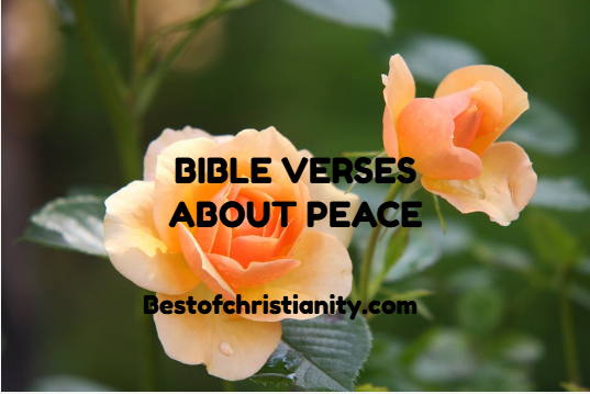 Bible Verses About Peace