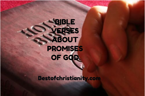 Bible Verses About Promises Of God
