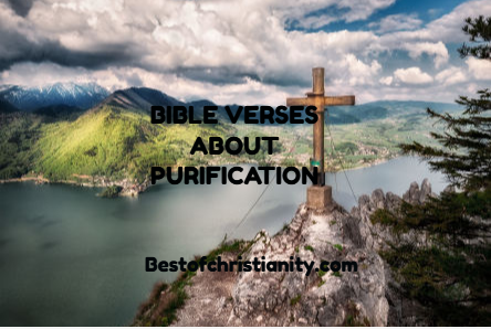 Bible Verses About Purification