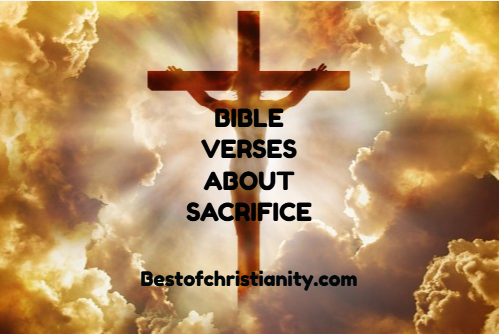 Bible Verses About Sacrifice