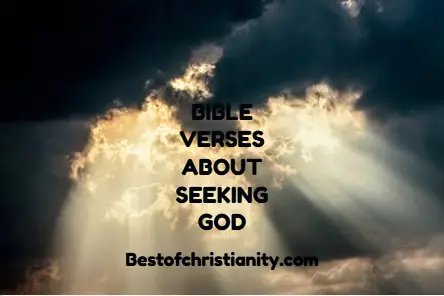 Bible Verses About Seeking God