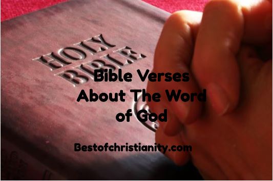 Bible Verses About The Word Of God