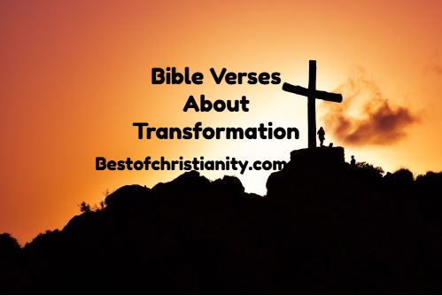 Bible Verses About Transformation