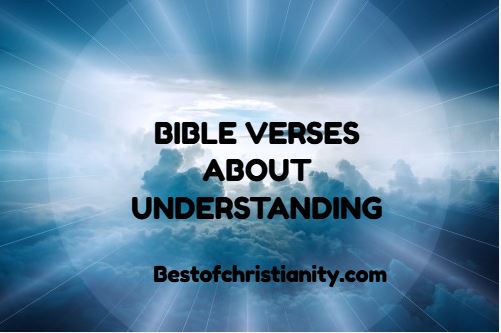 Bible Verses About Understanding