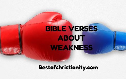 Bible Verses About Weakness