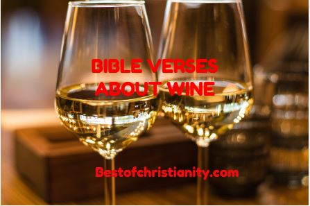 Bible Verses About Wine