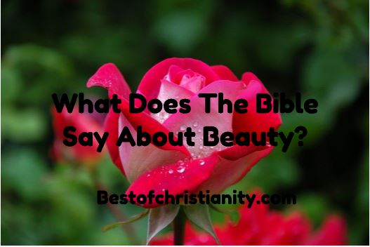 What Does The Bible Say About Beauty?