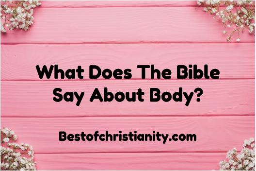 What Does The Bible Say About Body