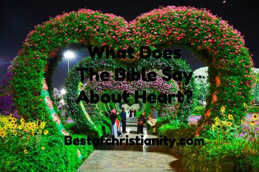 What Does The Bible Say About Heart