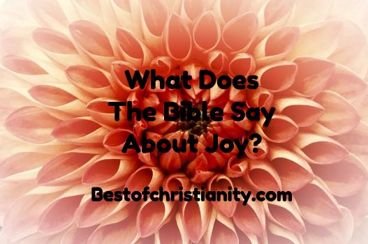 What Does The Bible Say About Joy?
