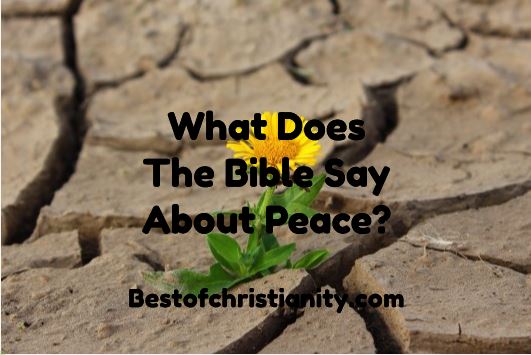 What Does The Bible Say About Peace?