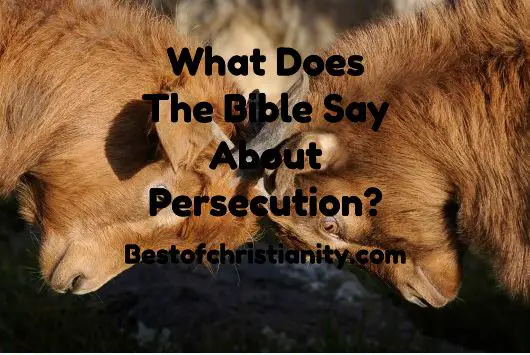 What Does The Bible Say About Persecution?