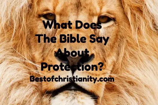 what-does-the-bible-say-about-protection