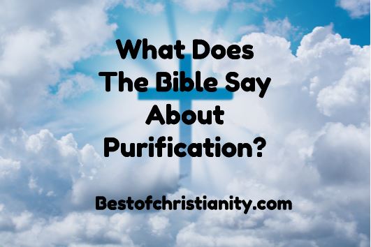 What Does The Bible Say About Purification?
