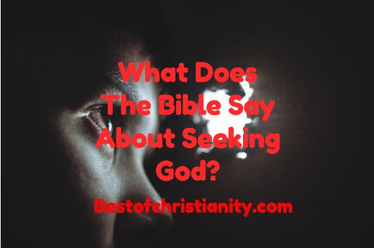 What Does The Bible Say About Seeking God?