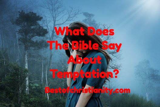 What Does The Bible Say About Temptation?