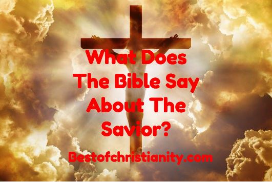 What Does The Bible Say About The Savior?