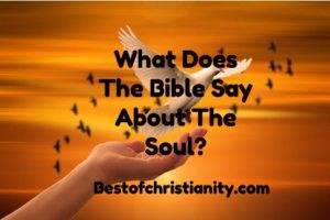 What Does The Bible Say About The Soul?