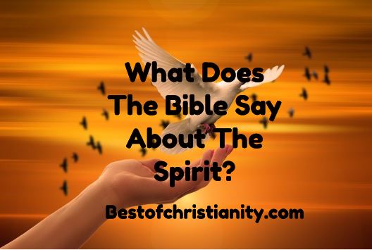 What Does The Bible Say About The Spirit?
