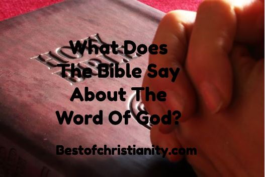 What Does The Bible Say About The Word Of God?
