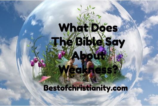 What Does The Bible Say About Weakness?