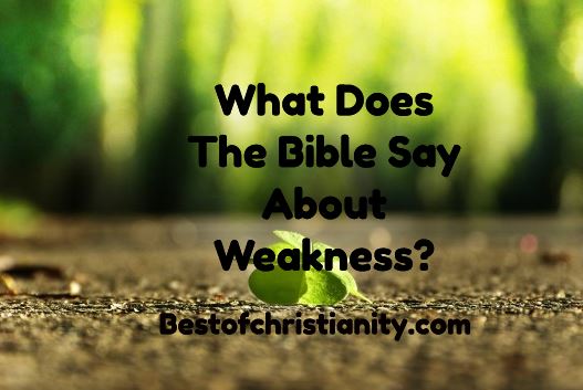 What Does The Bible Say About Weakness?