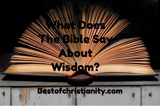 What Does The Bible Say About Wisdom?