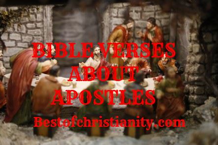 Bible Verses About Apostles
