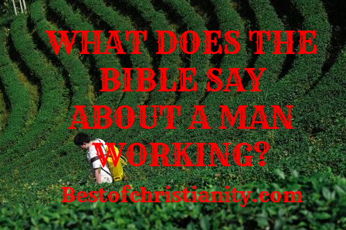 What Does The Bible Say About Man Working