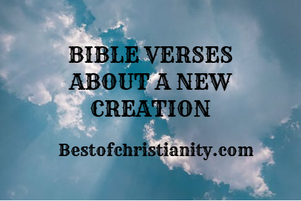 Bible Verses About A New Creation